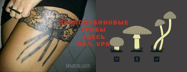 хмурый Арсеньев