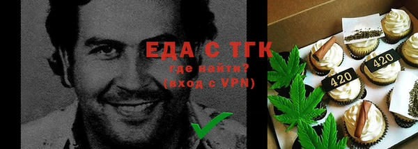 хмурый Арсеньев