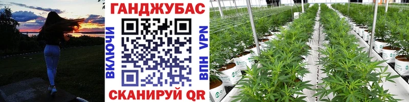 Купить закладки  Белогорск  Канабис конопля 